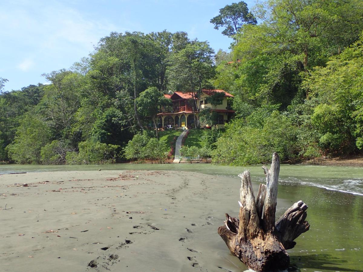 Morrillo Beach Eco Resort エクステリア 写真