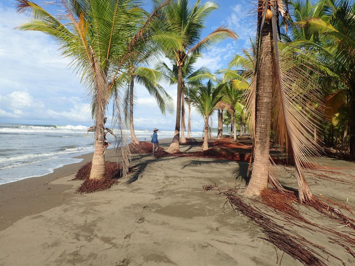 Morrillo Beach Eco Resort エクステリア 写真