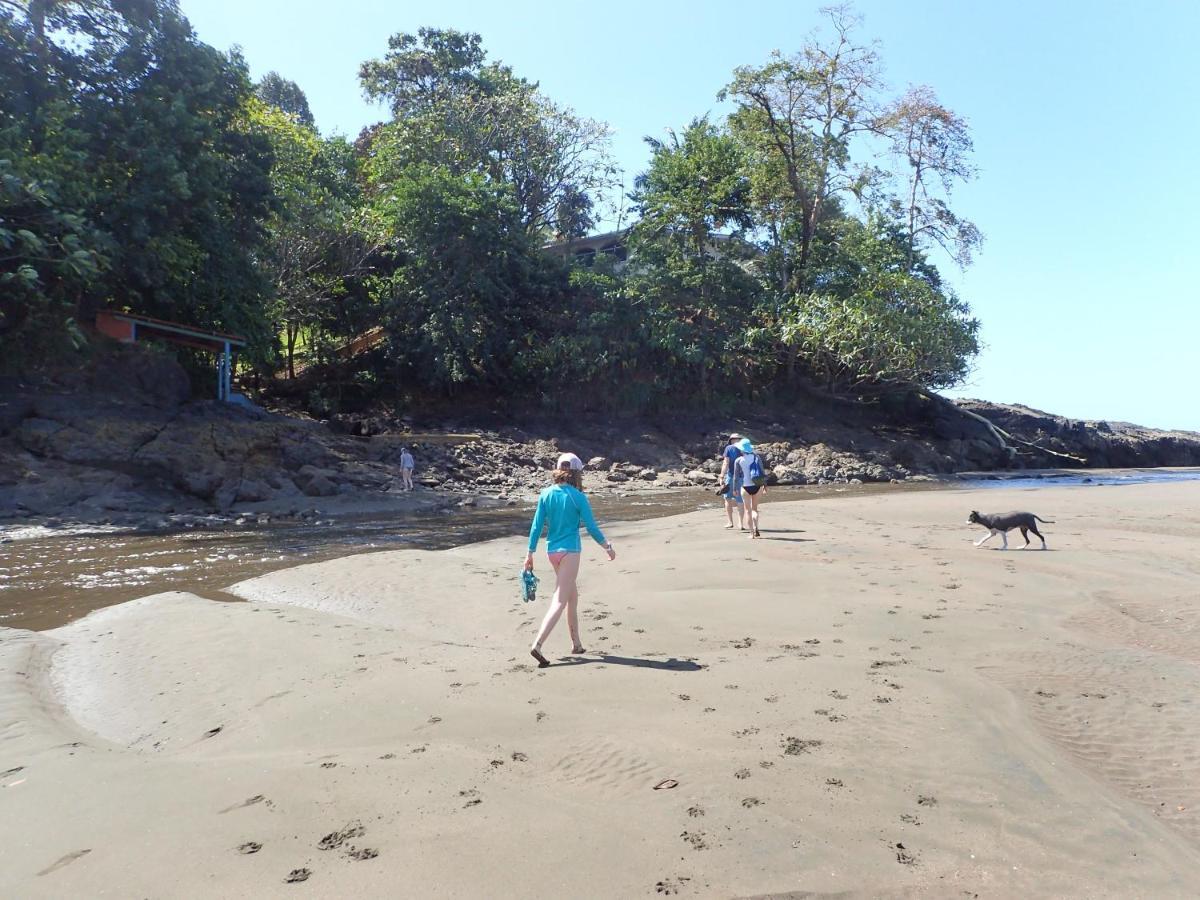 Morrillo Beach Eco Resort エクステリア 写真